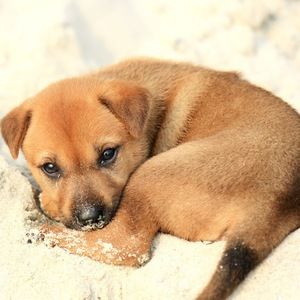 Meet your Posher, Avert